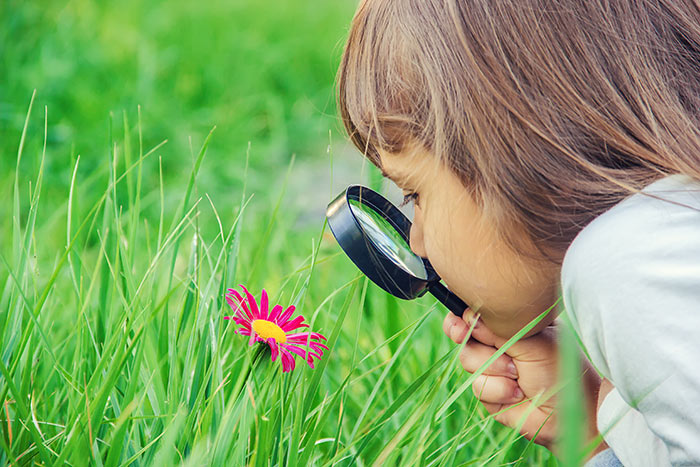 Planes de verano con los peques